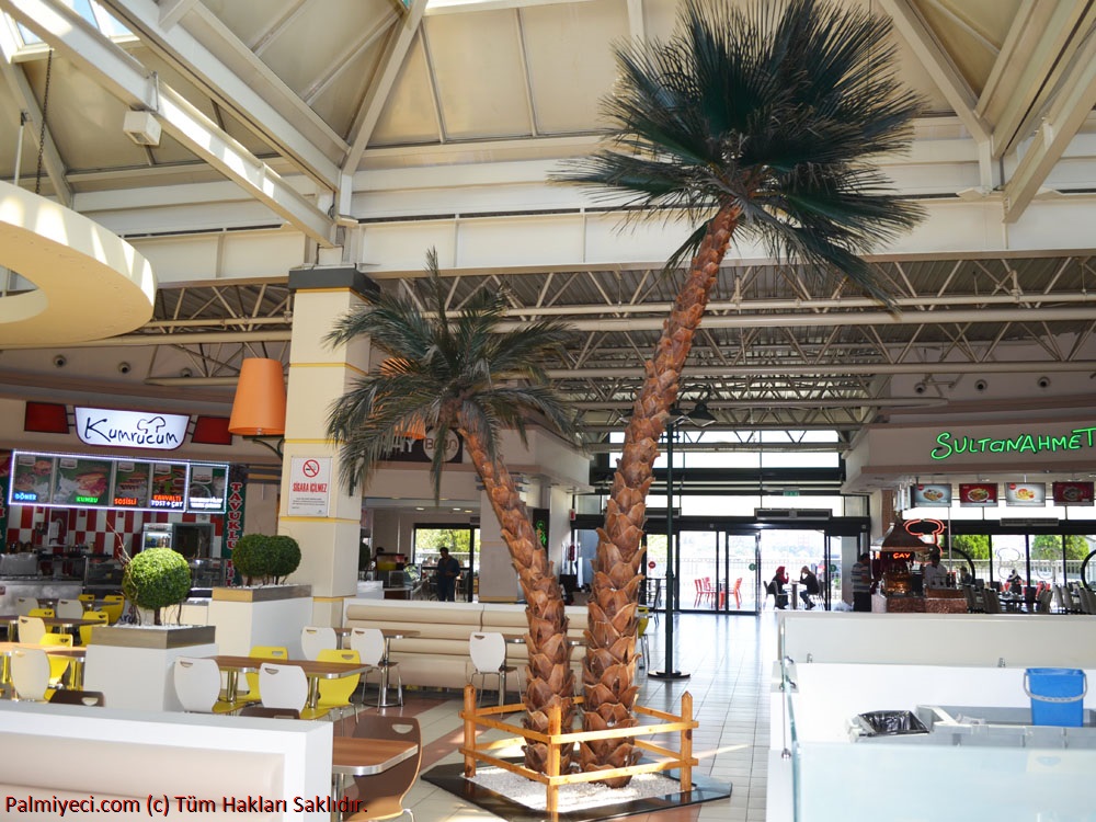 Carrefour SA Bayrampaşa - iç mekan palmiye çalışması