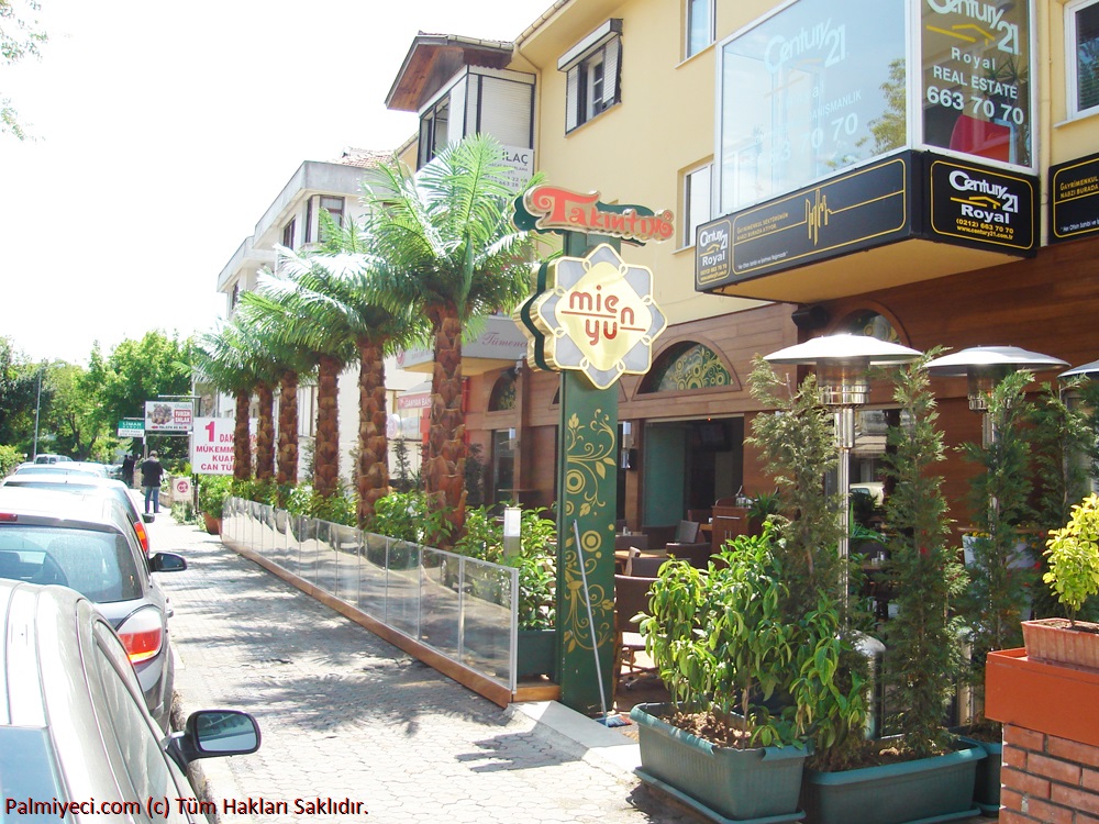 mienyou Cafe - Dışmekan yapay plastik palmiye